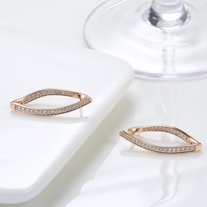 Fashion Personalized Zircon Eardrops Earrings Women